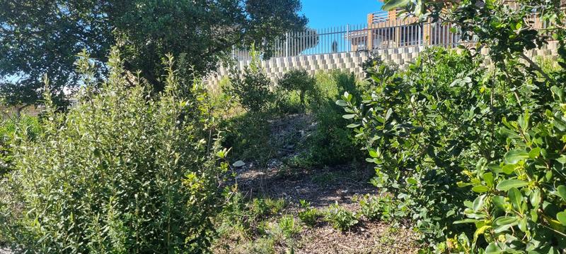 0 Bedroom Property for Sale in Groot Brakrivier Central Western Cape
